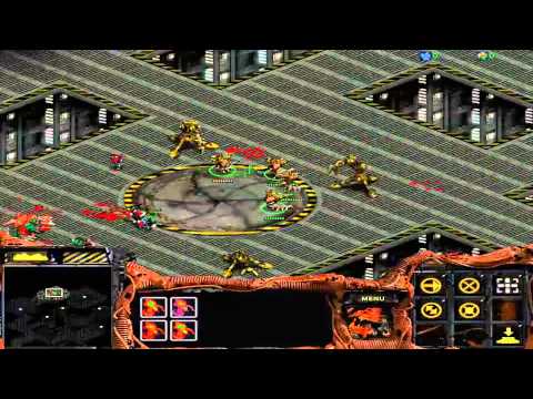 StarCraft Brood War Custom Campaign: Dark Swarm -- 2. The Raid