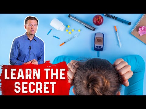 Does Stevia Affect your Blood Sugar – Dr Berg