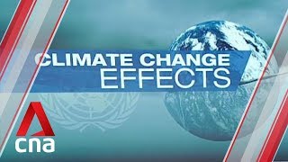 Countries must brace for bigger storms due to climate change: UN report