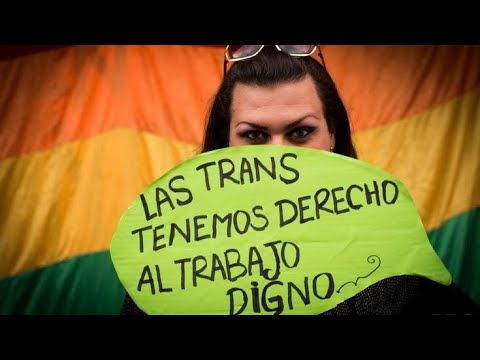 Informe especial: Ley de Cupo Laboral para la comunidad Travesti, Transexuales y Transgéneros