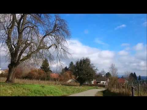 Von Litzelstetten Purren zum Aussichtspunkt 03 03 14