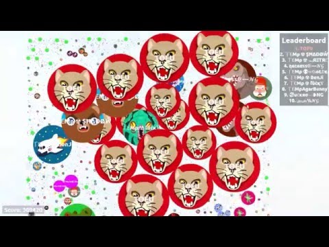 AGARIO HACK   99999 MASS BOTS INFINITY ⚑ 310k GAMEPLAY WORLD RECORD!!! (RAFEL TOFU)