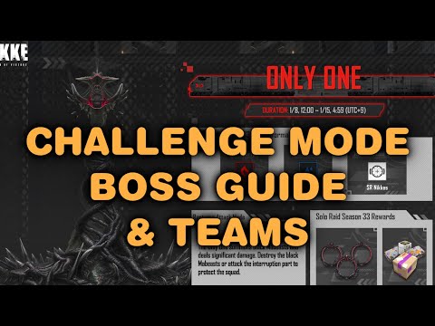 Only One BOSS GUIDE - Solo Raid CHALLENGE MODE - Nikke | SR 33