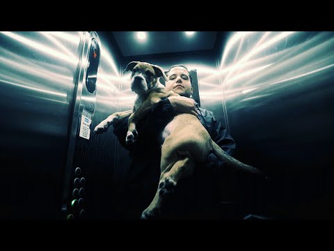 Jonas Benyoub - NEW DELHI - FREESTYLE