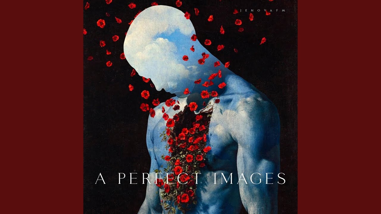 JenovaFM - A Perfect Images