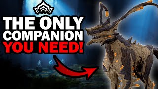 How to Get the ONLY Companion You’ll Ever Need in Warframe!