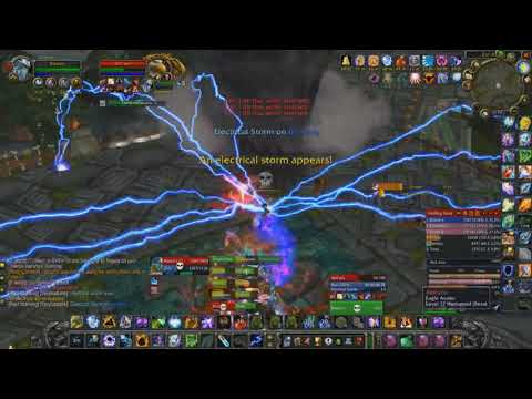 Akil'zon - Eagle - Netherwing TBC - Mushroom Vendor - Zul Aman