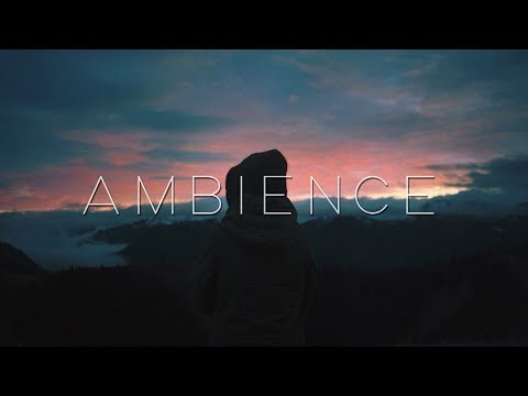 Bop - Amnesia (feat. Synkro)