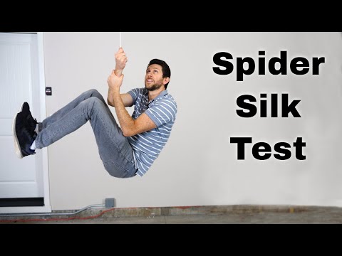 Is Spider Silk Stronger Than Steel?
