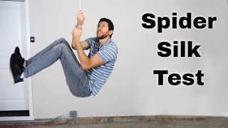 Is Spider Silk Stronger Than Steel?