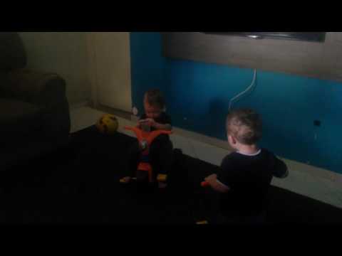 Buzina estranha 😂😂🤣