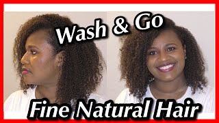 Wash & Go Fine Natural 3c/4a Hair | Product combo for DEFINITION & VOLUME