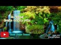 Thamirabarani Rani WhatsApp Status