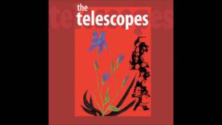 The Telescopes - The Precious Little