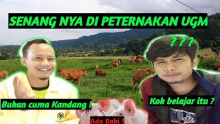Download lagu PETERNAKAN UGM #Sharingjurusan. Senang sekali kuliah di Fakultas Peternakan UGM mp3