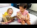 Mom taught Monkey Kaka and Diem to feed monkey Mit to drink milk