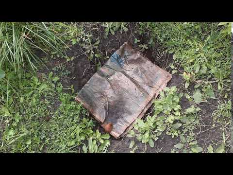 kompost teil eins: einfach direkt funktioniert!! Ein Kreislauf schliesst sich..