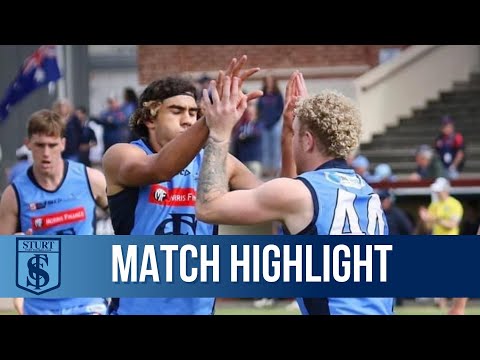 Match Highlights: Round 11 Reserves win over North