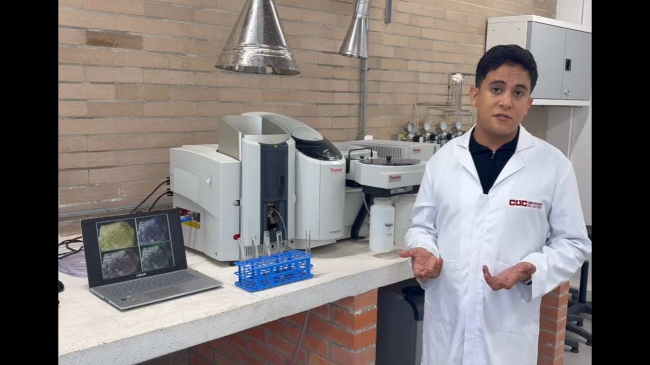 Nanoparticulados em sedimentos terrestres em baía hidrográfica Patrimônio Mundial Cultural e Natural