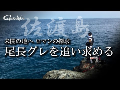 【G WORLD #48】抱き続けたロマンを実現 新潟県佐渡島に尾長グレを追う！