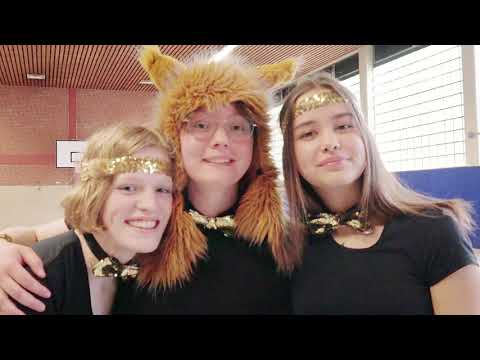 Bodybild Trailer KJT