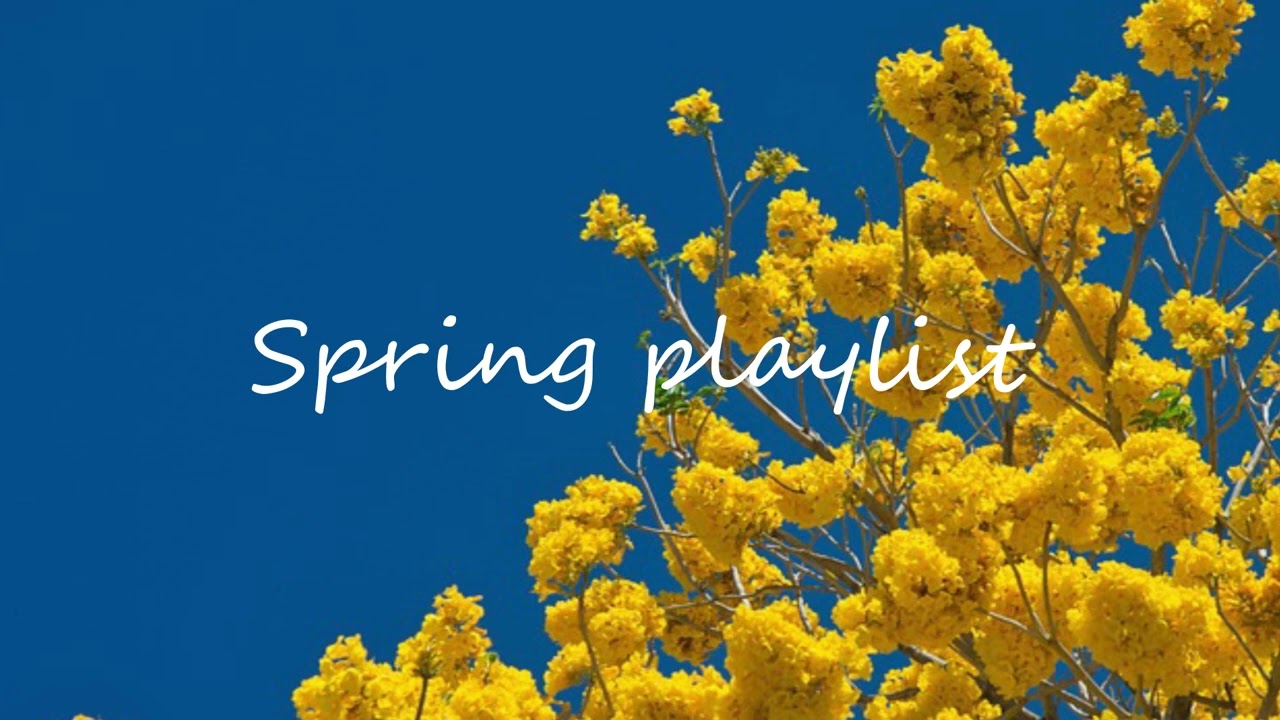 [playlist] spring mood playlist / good songs to listen to while feeling the soft spring breeze