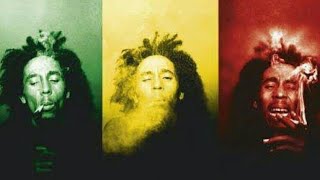 Bob Marley - Ganja In My Brain - Video Song