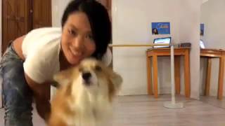 TangoLOG - Tango Practice by Delia Hou - #6