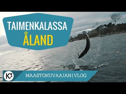 Saatiin 64 cm taimen ja kuvattiin dronella uusia paikkoja - 2/3