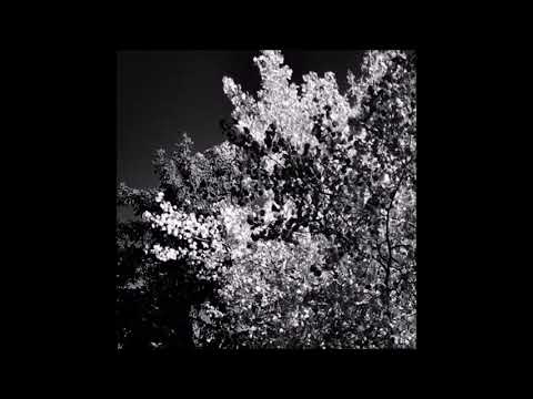 02. biocide - auxiliary