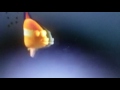 Nickelodeon Fish Bumper ID 1993