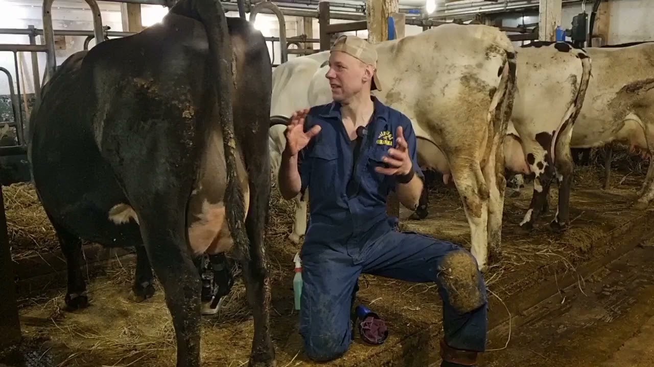 Alla Hjärtans Lagård