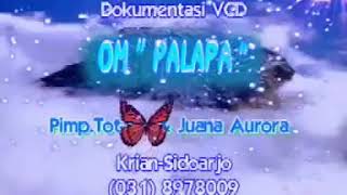 PALAPA - BEKU - BRODIN