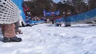 preview picture of video 'Dinner Plain Sled Dog races 2009'