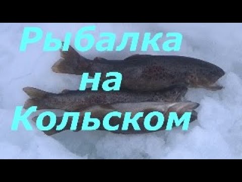 Рыбалка на Кольском . Кумжевое озеро . Февраль 2020 год .