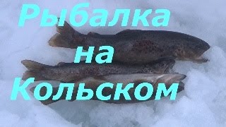 Ссылка