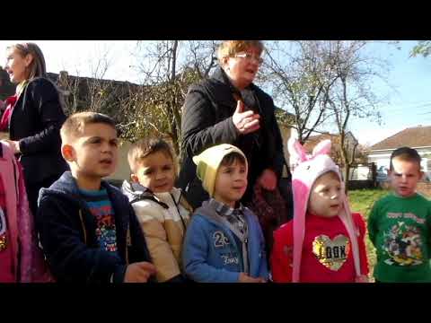 Ziua recoltei la Școala Gimnazială Bârsa   26 10 2018