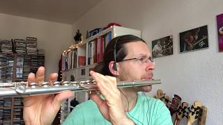 Jamiroquai Flute Solo - Stillness in time by Torsten