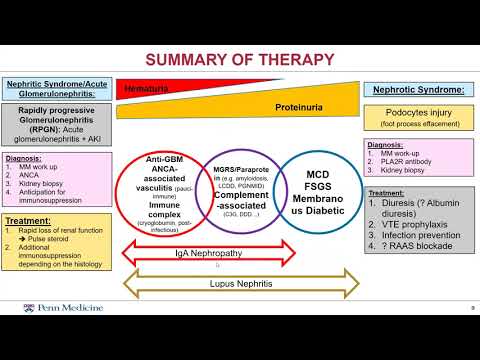 Mansoura-Kentucky Course - Glomerulonephritis part 1 - (2) Podocytopathy - Prof. Abdallah Geara