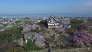 彦根城　空撮動画