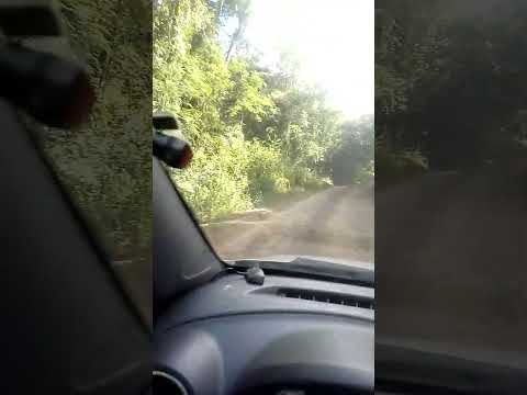 se inscreve pra não perder nada. revisão em Ortigueira Paraná. #revisão #ortigueira #abelha #asf