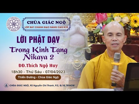 Lời Phật dạy trong Kinh Nikaya 2 - ĐĐ. Thích Ngộ Huy giảng lớp Bát Chánh đạo nâng cao K10