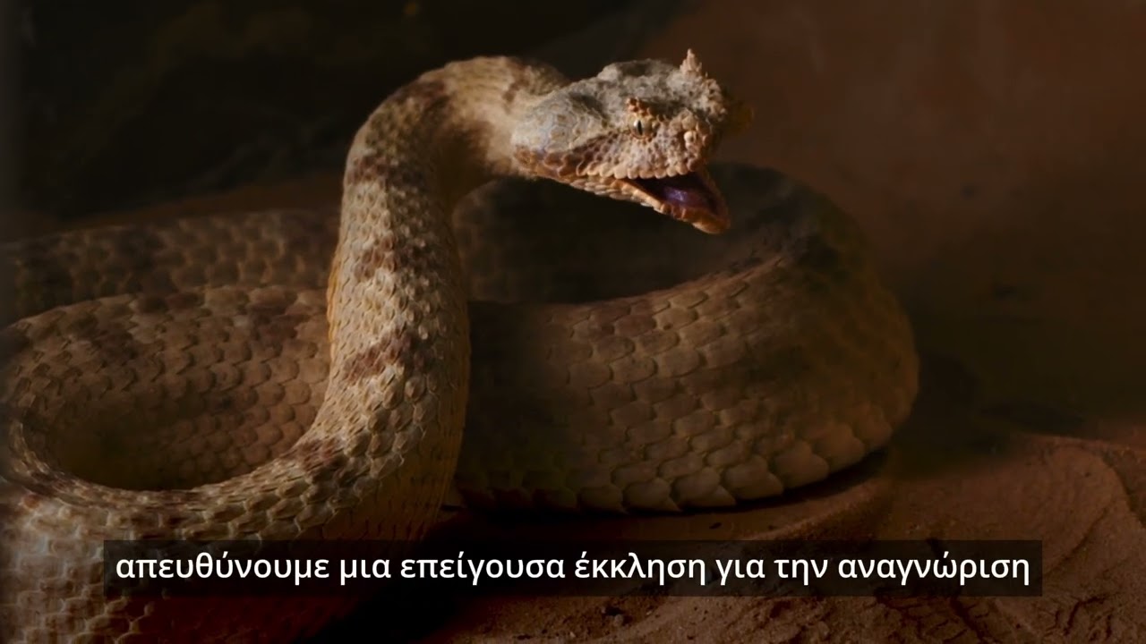 17 Ιουνίου — ΗμέραΠαγκόσμια Ημέρα για την Καταπολέμηση της Ερημοποίησης και της Ξηρασίας.