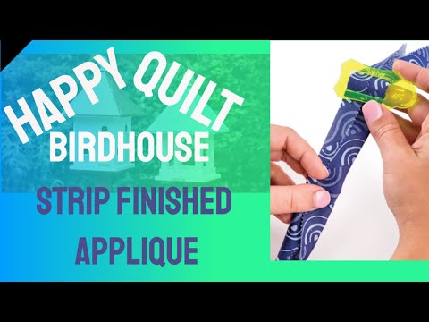 Alex Anderson LIVE - Birdhouse Quilt #8 - Applique the Sasher Way
