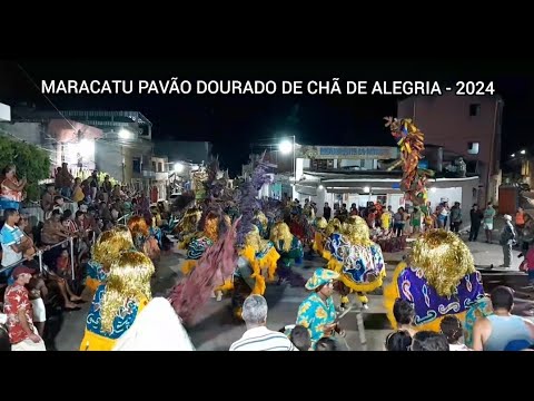 Maracatu Pavão Dourado de Chã de Alegria - Carnaval 2024