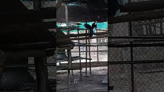 Download lagu Video 99dc3a5c c537 43b1 98b9 00dfb85efb0d mp3 Download lagu Video 99dc3a5c c537 43b1 98b9 00dfb85efb0d mp3