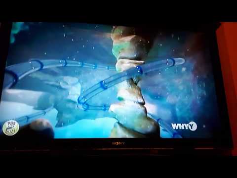 Odd Squad Tube Ride: Season 3, Episode 1 (Odd Beginnings)