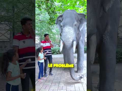 DU SANG COULE DES YEUX DE LA STATUE ! 😱
