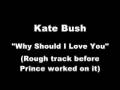 Kate Bush - Why Should I Love You (demo)