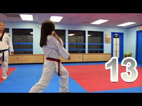 TAEKWONDO (basic foundation form 1 and 2)-tutorial